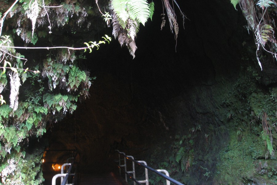 ../image/volcano - thurston lava tube 1.jpg